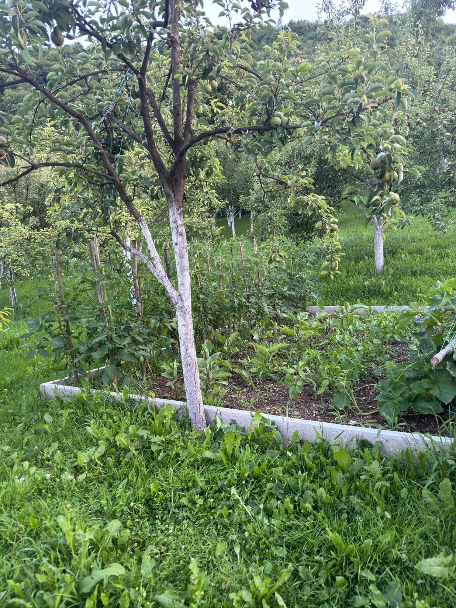 Resting House Oaza Villa Bihać Buitenkant foto